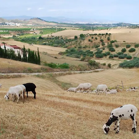 De Suenos Bed & Breakfast Alhaurin de la Torre