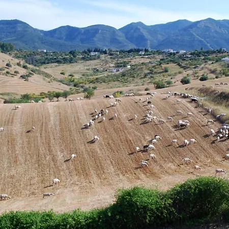 De Suenos Alhaurin de la Torre